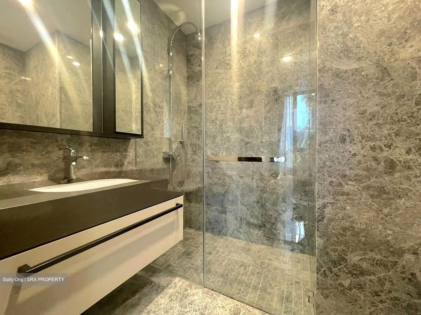 Parksuites (D10), Apartment #619587661